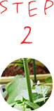 STEP2