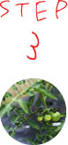 STEP3