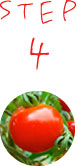 STEP4