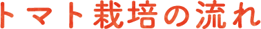 トマト栽培の流れ