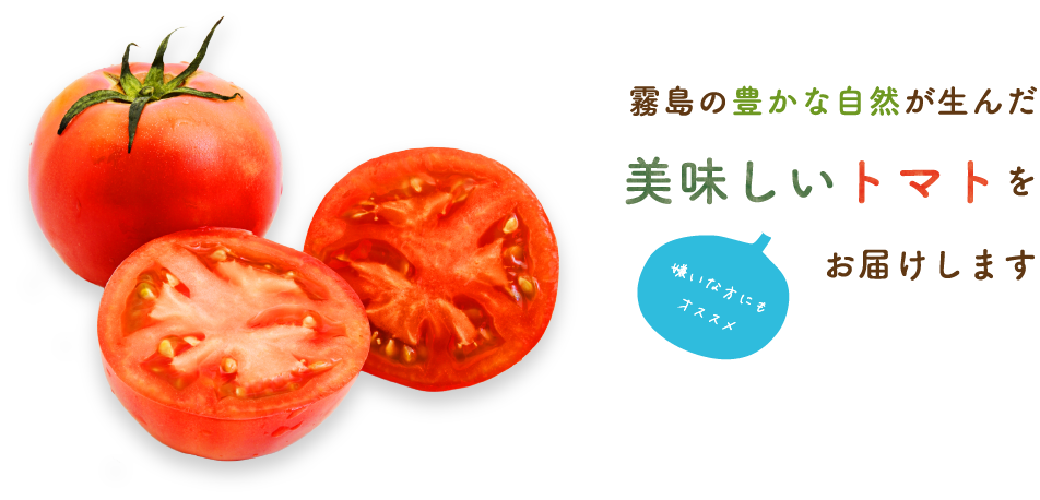 霧島の豊かな自然が生んた美味しいトマトをお届けします。